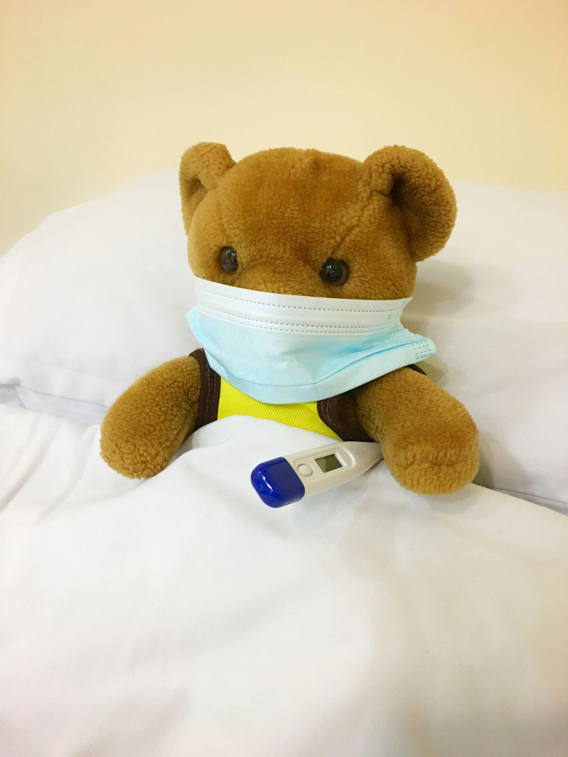 Teddy with Flu